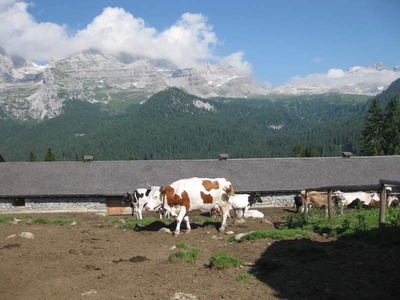 città di trento